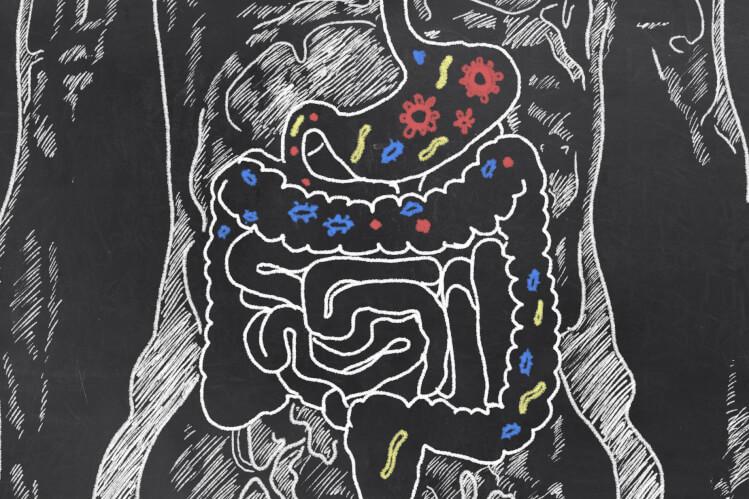 A Dietitian's Tips For Building And Maintaining A Healthy Gut